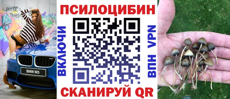 Галлюциногенные грибы прущие грибы  где можно купить   Балей 